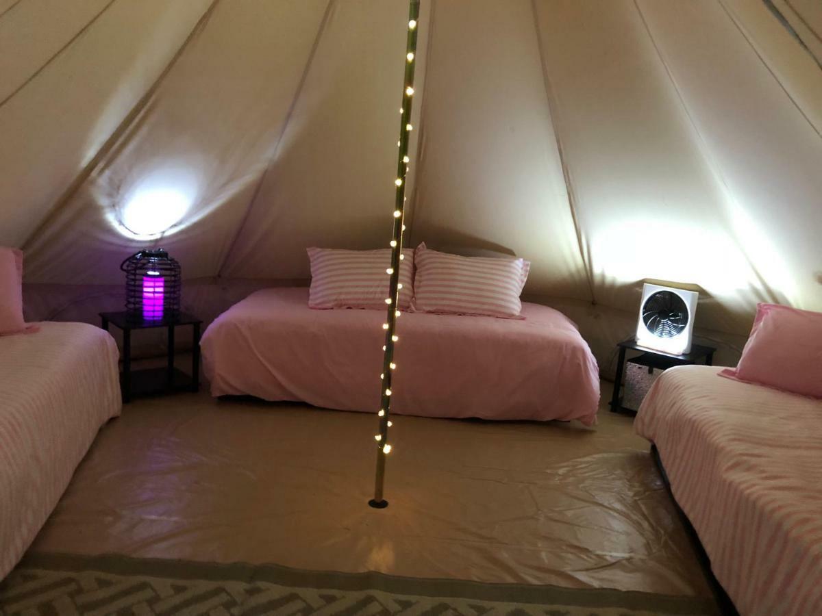 Campismo de Luxo Glampin' In Style-broken Bow *