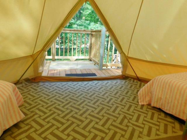 Glampin' In Style-broken Bow *